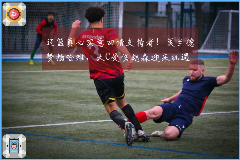 辽篮真心实意回馈支持者！莫兰德赞扬哈维，大C受伤赵森迎来机遇